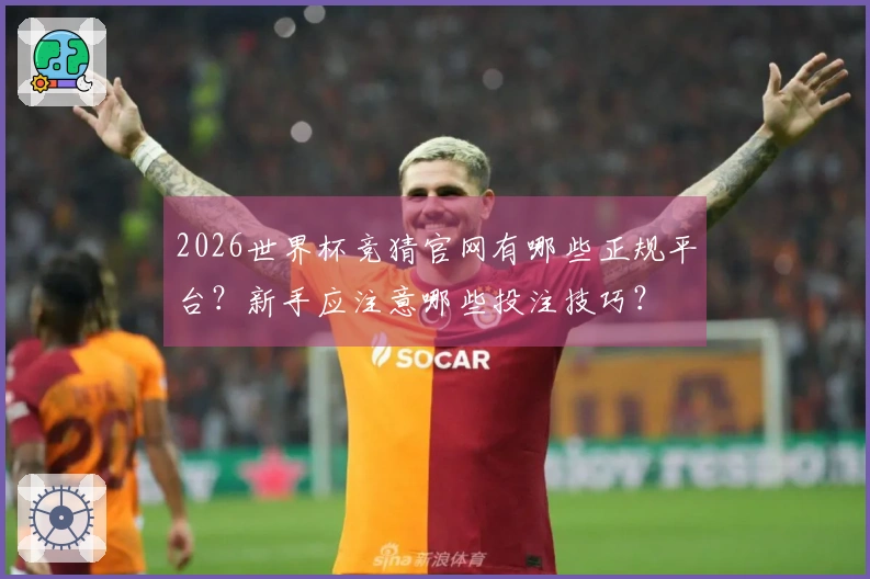 2026世界杯竞猜官网有哪些正规平台？新手应注意哪些投注技巧？