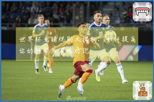 世界杯竞猜规则大揭秘：如何提高你的胜率与策略对比