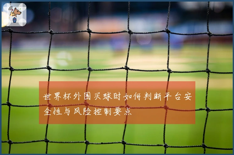 世界杯外围买球时如何判断平台安全性与风险控制要点