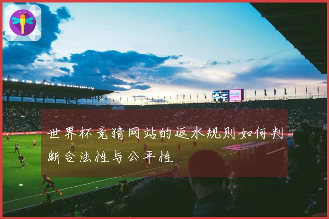 世界杯竞猜网站的返水规则如何判断合法性与公平性