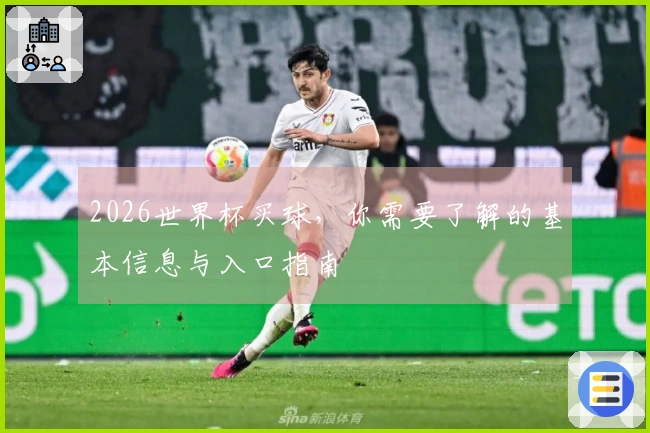 2026世界杯买球，你需要了解的基本信息与入口指南
