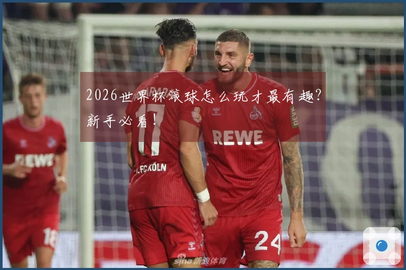 2026世界杯滚球怎么玩才最有趣？新手必看！