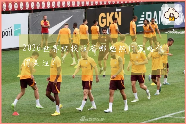 2026世界杯投注有哪些热门策略值得关注？
