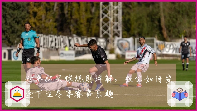 世界杯买球规则详解，教你如何安全下注尽享赛事乐趣