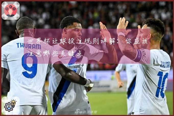 世界杯让球投注规则详解：你应该注意哪些关键点