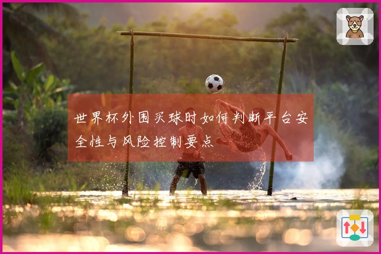世界杯外围买球时如何判断平台安全性与风险控制要点