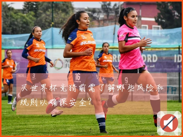 买世界杯竞猜前需了解哪些风险和规则以确保安全？