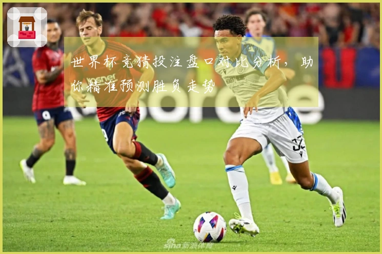 世界杯竞猜投注盘口对比分析，助你精准预测胜负走势