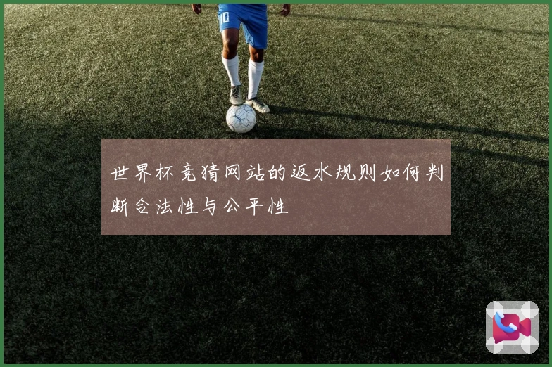世界杯竞猜网站的返水规则如何判断合法性与公平性