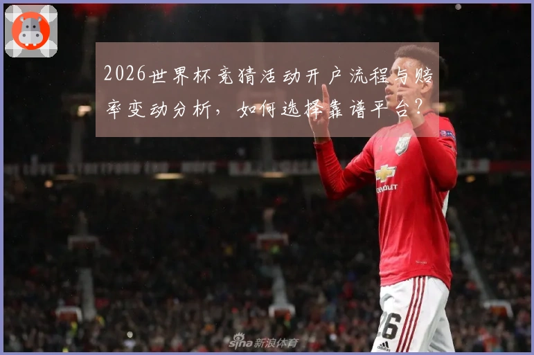 2026世界杯竞猜活动开户流程与赔率变动分析，如何选择靠谱平台？