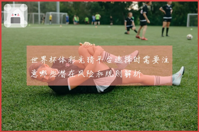 世界杯体彩竞猜平台选择时需要注意哪些潜在风险和规则解析