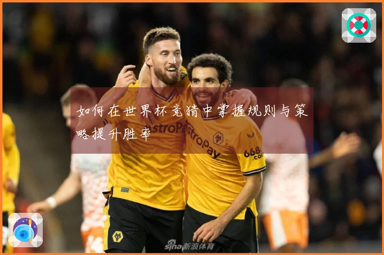 如何在世界杯竞猜中掌握规则与策略提升胜率