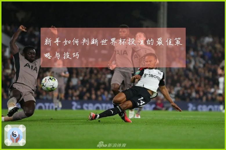 新手如何判断世界杯投注的最佳策略与技巧
