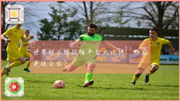 世界杯买球投注平台大比拼：哪家更适合你？