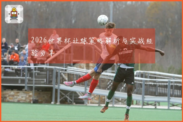 2026世界杯让球策略解析与实战经验分享
