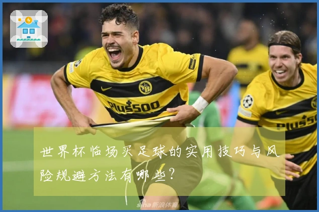 世界杯临场买足球的实用技巧与风险规避方法有哪些？