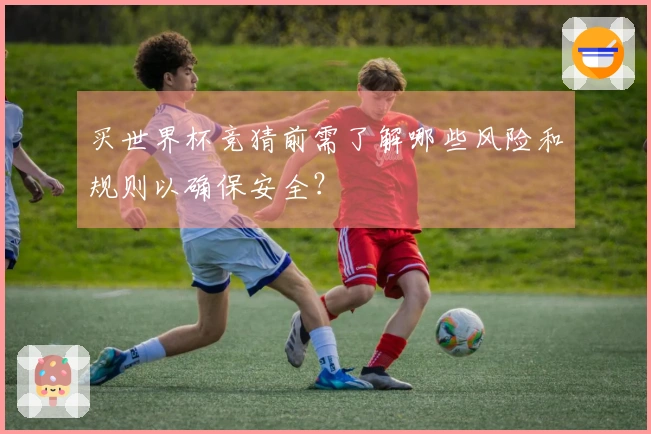 买世界杯竞猜前需了解哪些风险和规则以确保安全？