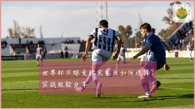 世界杯买球竞猜究竟该如何选择？实战经验分享