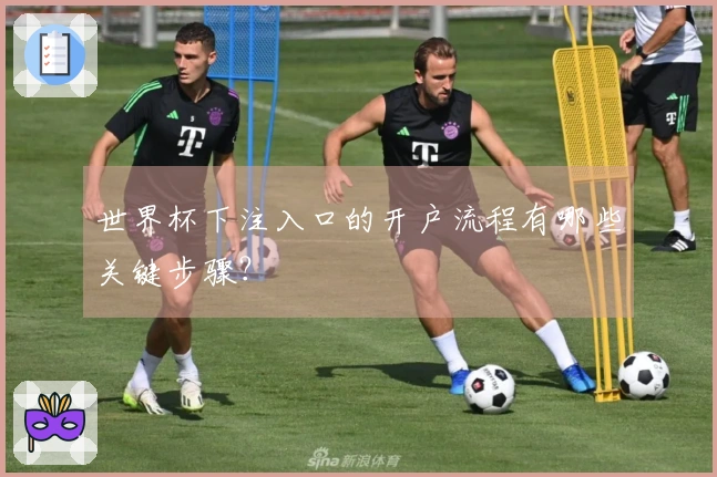 世界杯下注入口的开户流程有哪些关键步骤？