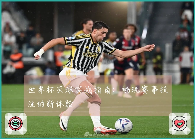 世界杯买球实战指南：畅玩赛事投注的新体验