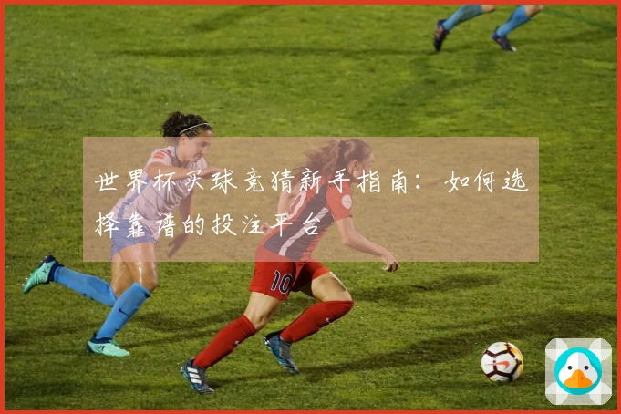 世界杯买球竞猜新手指南：如何选择靠谱的投注平台