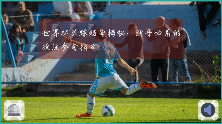世界杯买球赔率揭秘，新手必看的投注参考指南