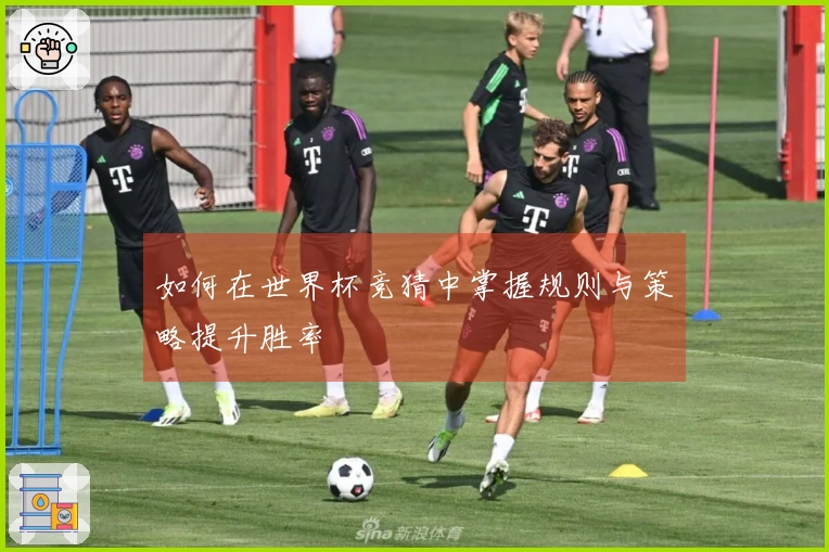 如何在世界杯竞猜中掌握规则与策略提升胜率