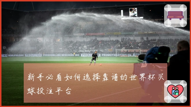 新手必看如何选择靠谱的世界杯买球投注平台