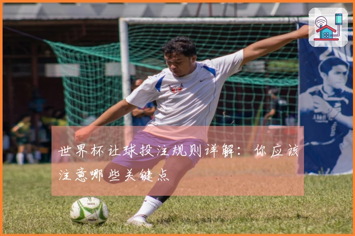 世界杯让球投注规则详解：你应该注意哪些关键点